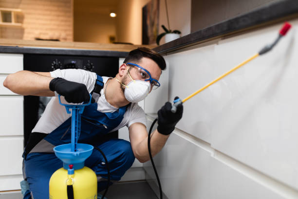 Best Local Pest Control Services  in Crestwood, IL