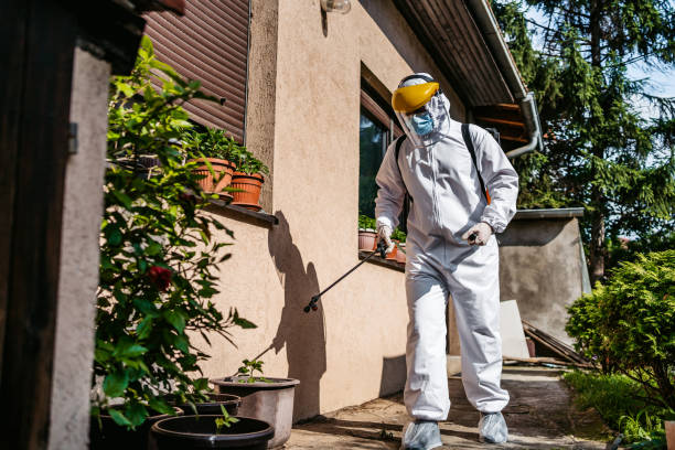 Reliable Crestwood, IL Pest Control Solutions
