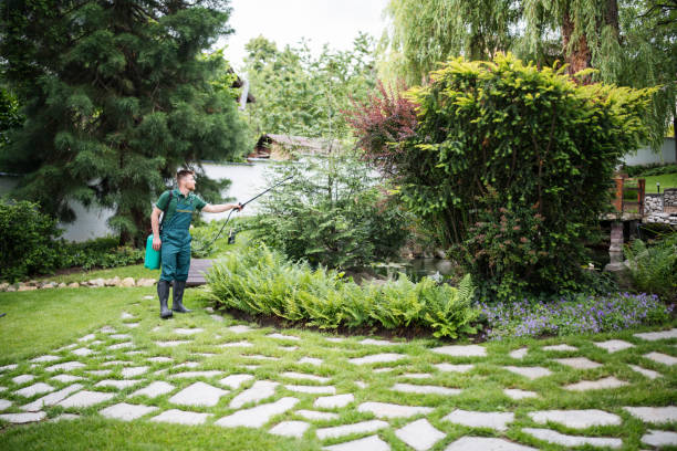  Crestwood, IL Pest Control Pros