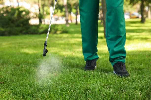 Best Wasp Removal Services  in Crestwood, IL