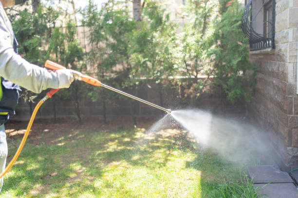 Best Insect Control  in Crestwood, IL