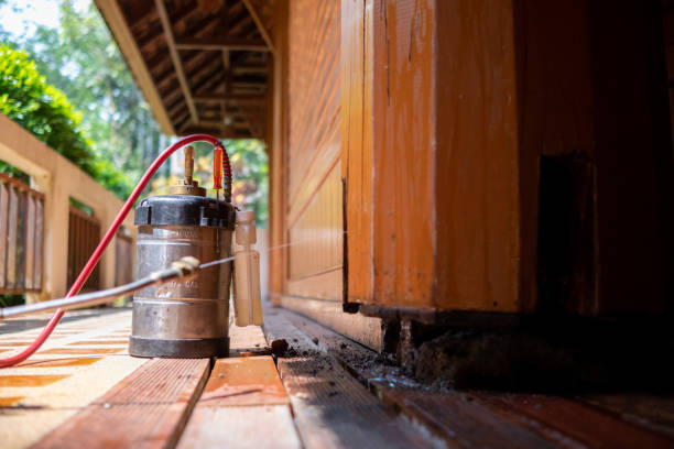 Best Pest Removal Services  in Crestwood, IL