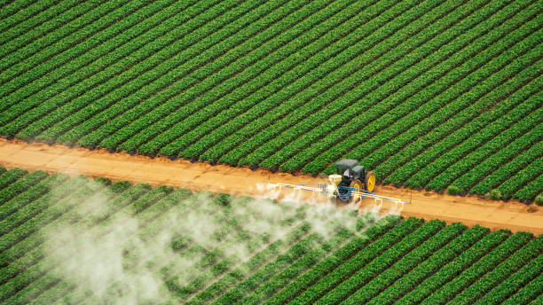Best Commercial Pest Control Services  in Crestwood, IL
