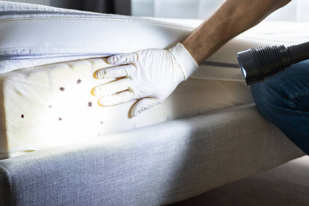 Insect Control in Crestwood, IL