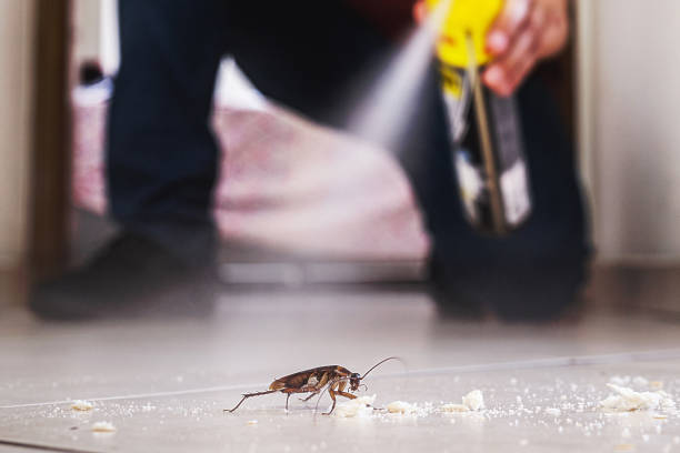 Crestwood, IL Pest Control Company