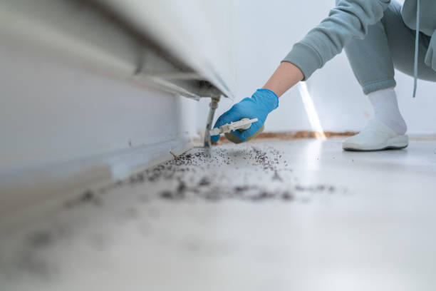 Best Affordable Pest Control Services  in Crestwood, IL