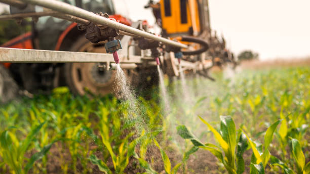 Insect Control in Crestwood, IL